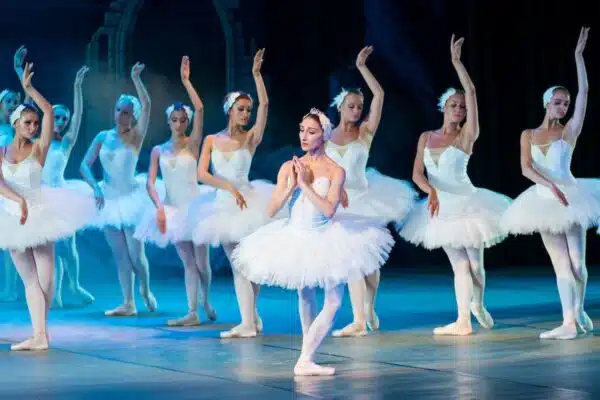Trouvez des termes de substitution pour ballerine
